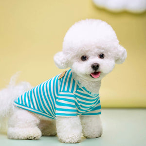 Breathable Summer Pet T Shirt Lightweight Outdoor Wear